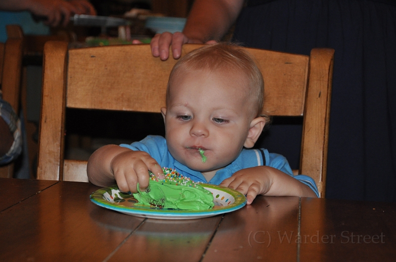 William's 2nd 1st Birthday Party 311.jpg